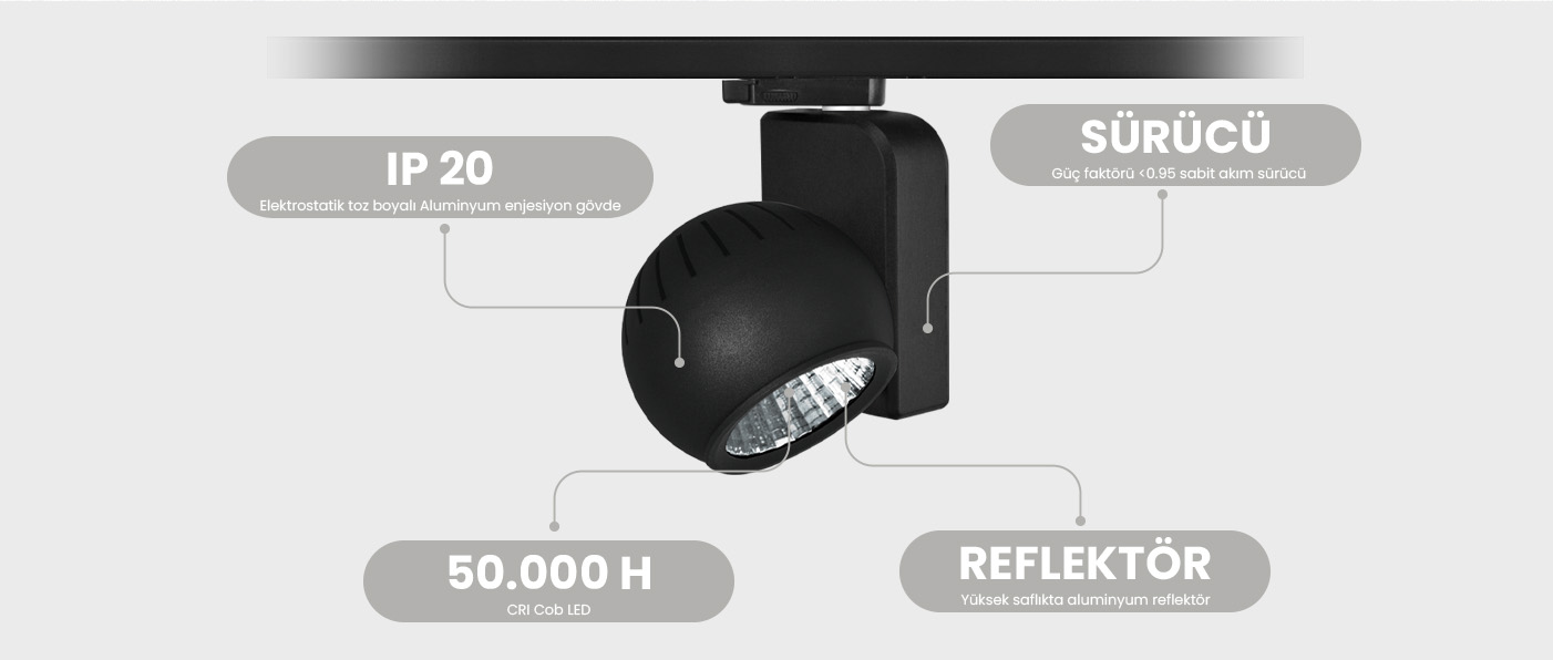 GOLOBO SERİSİ | MR 301 RAY SPOT